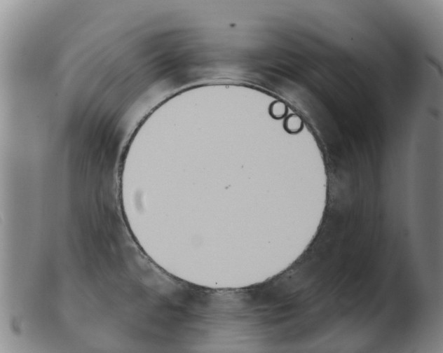X0000103951480200809191159