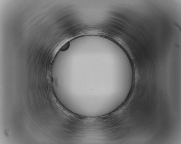 X0000103951481200809191159