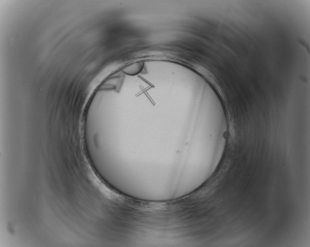 X0000103951482200809191159