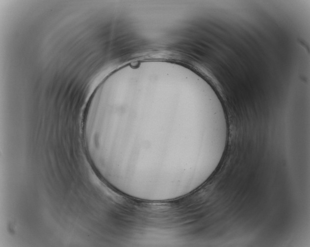 X0000103951483200809191159