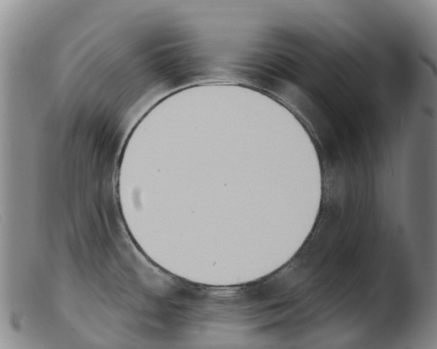 X0000103951484200809191159