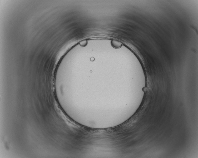 X0000103951485200809191159