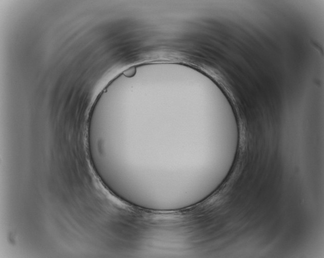 X0000103951486200809191159