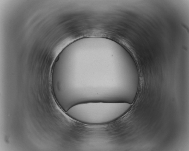 X0000103951487200809191159
