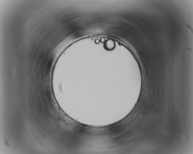 X0000103951488200809191159