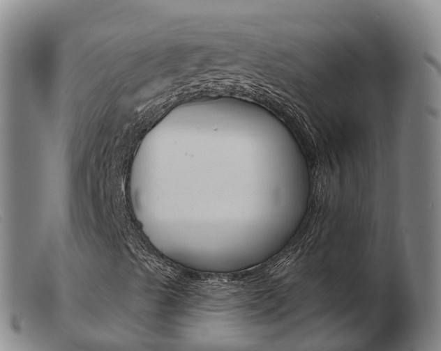 X0000103951489200809191158