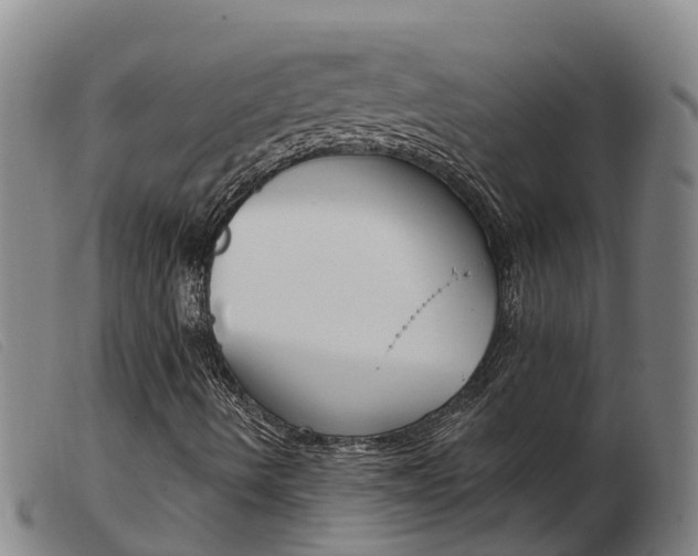 X0000103951490200809191158