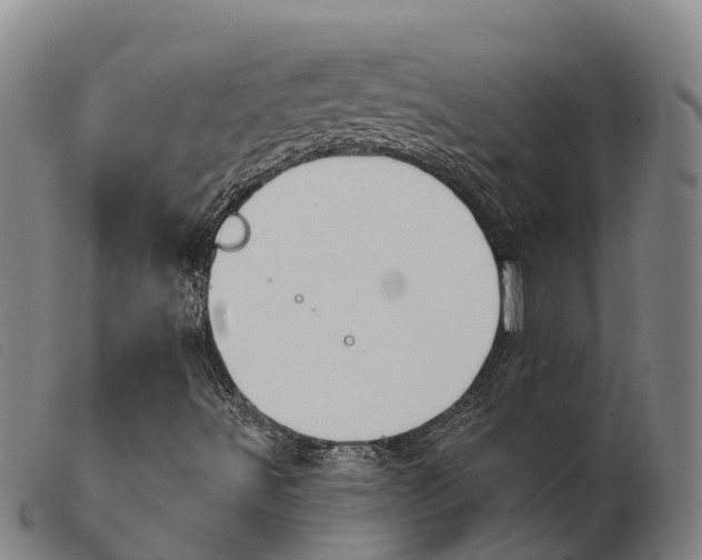 X0000103951491200809191158