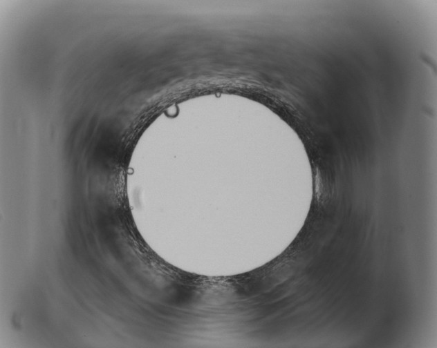 X0000103951492200809191158