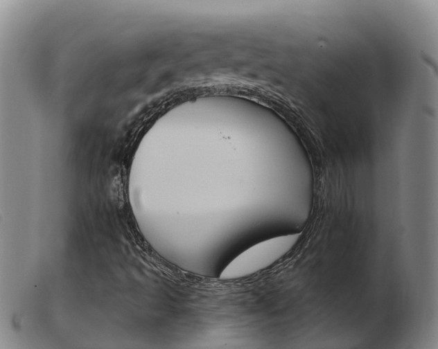 X0000103951493200809191158