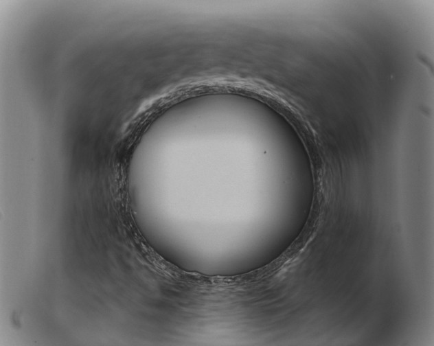 X0000103951494200809191158