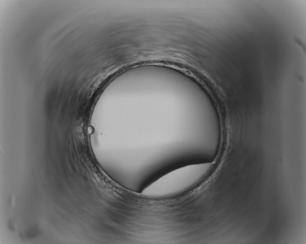 X0000103951497200809191158