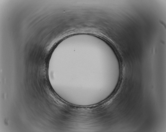 X0000103951498200809191158