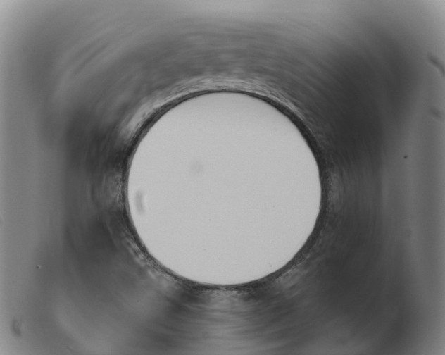 X0000103951499200809191158