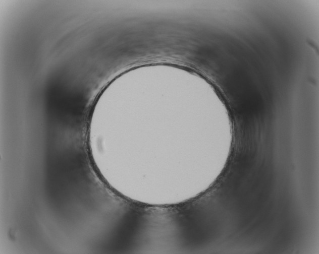 X0000103951500200809191158