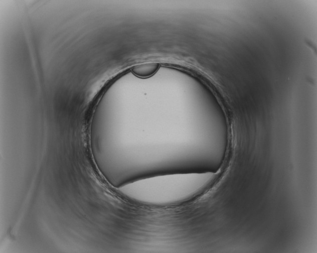 X0000103951501200809191158