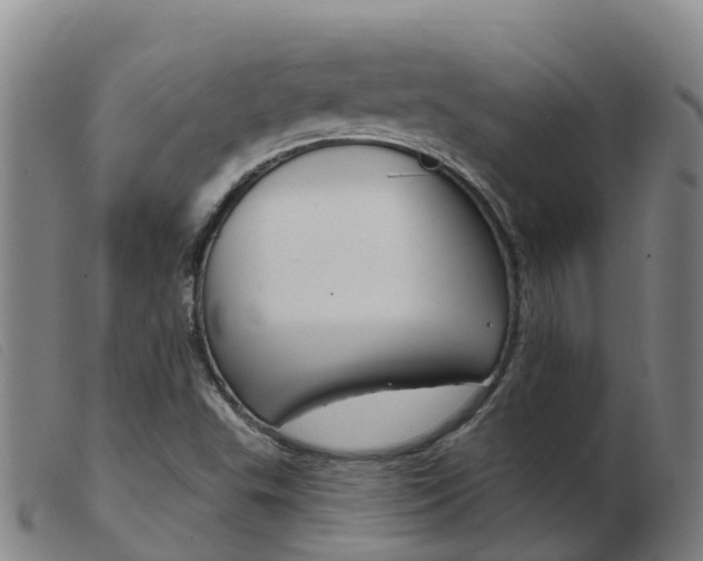 X0000103951503200809191158