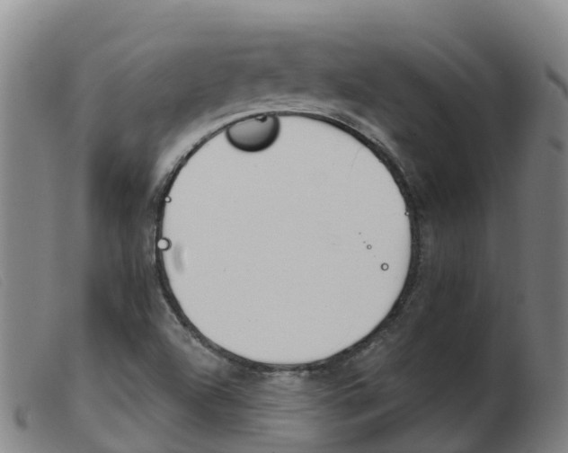 X0000103951504200809191158