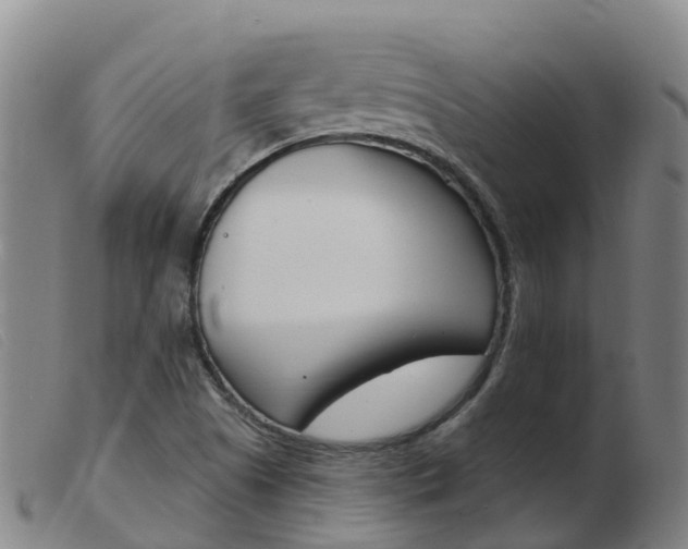 X0000103951505200809191158
