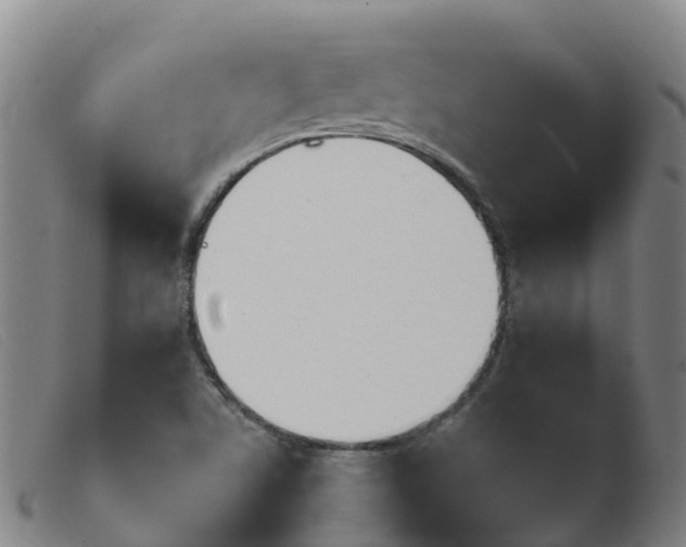 X0000103951506200809191158