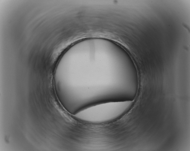 X0000103951507200809191158