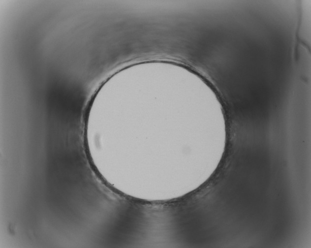 X0000103951508200809191158