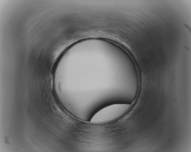X0000103951509200809191158