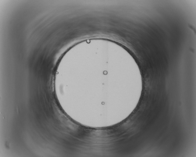 X0000103951510200809191158