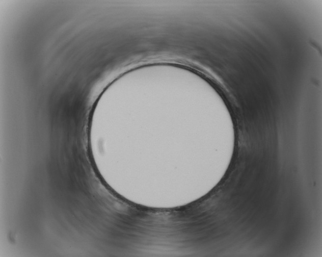 X0000103951512200809191158