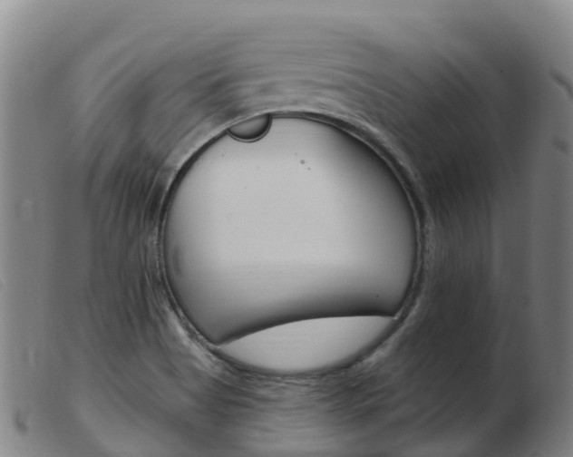 X0000103951513200809191159