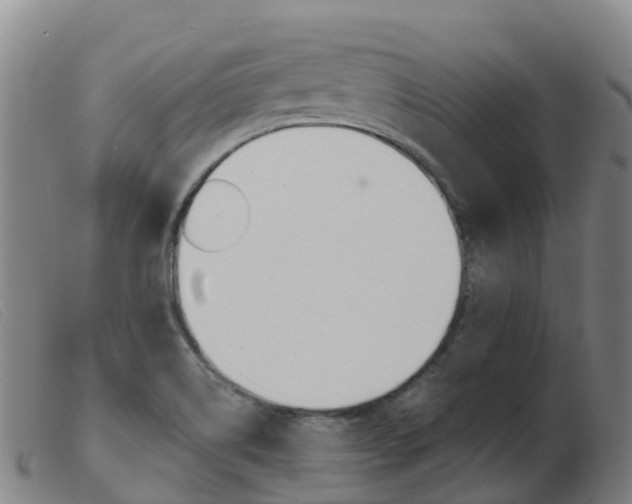 X0000103951514200809191159