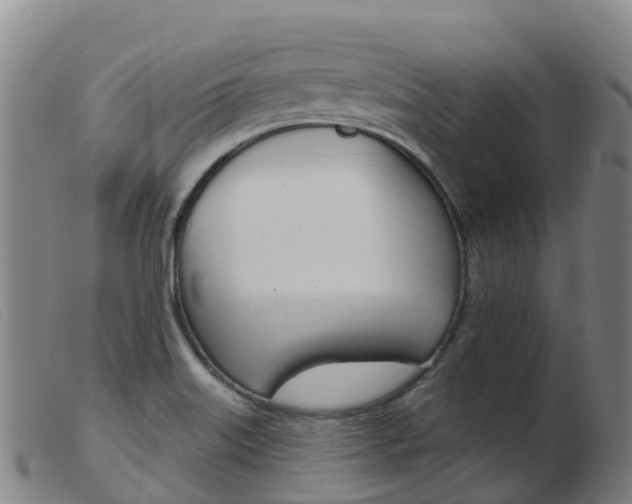 X0000103951515200809191159