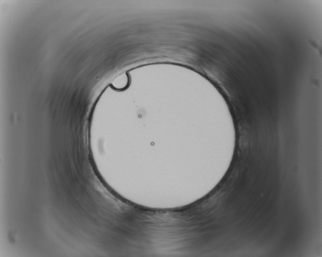 X0000103951516200809191159