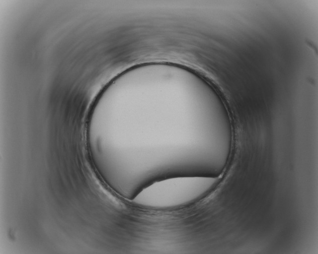 X0000103951517200809191159