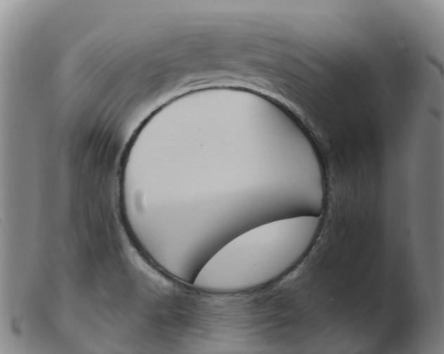 X0000103951518200809191159
