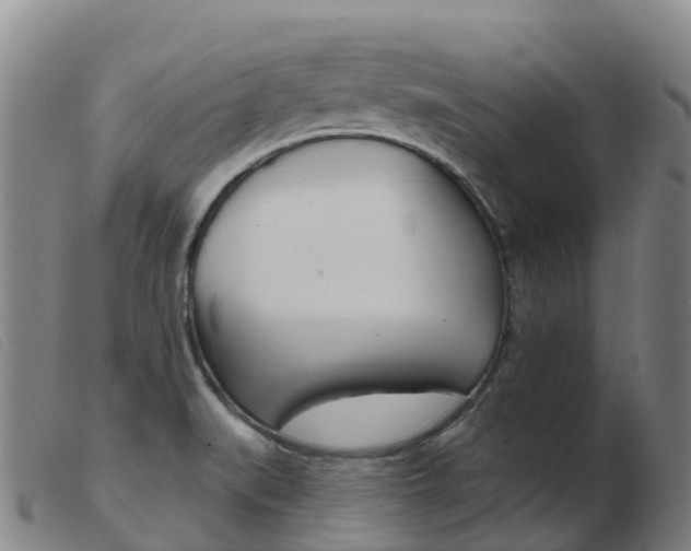 X0000103951519200809191159