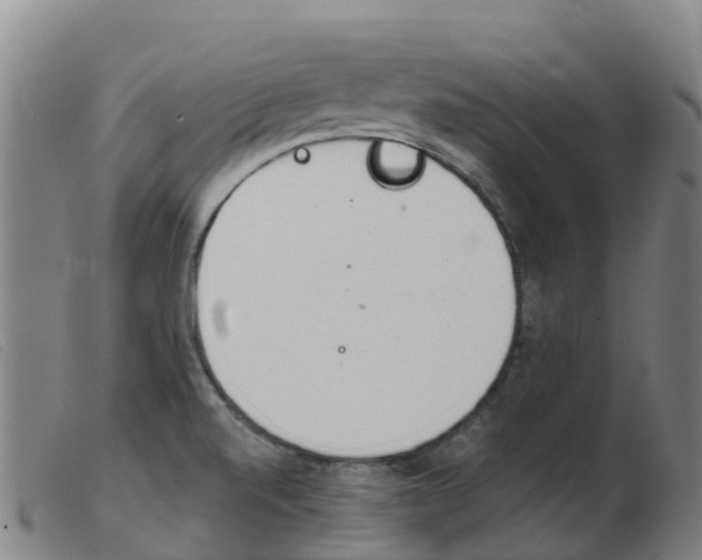 X0000103951520200809191159