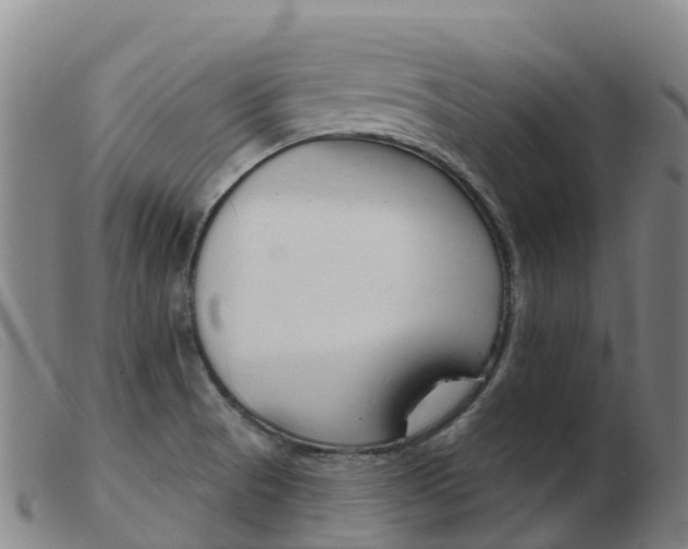X0000103951521200809191159