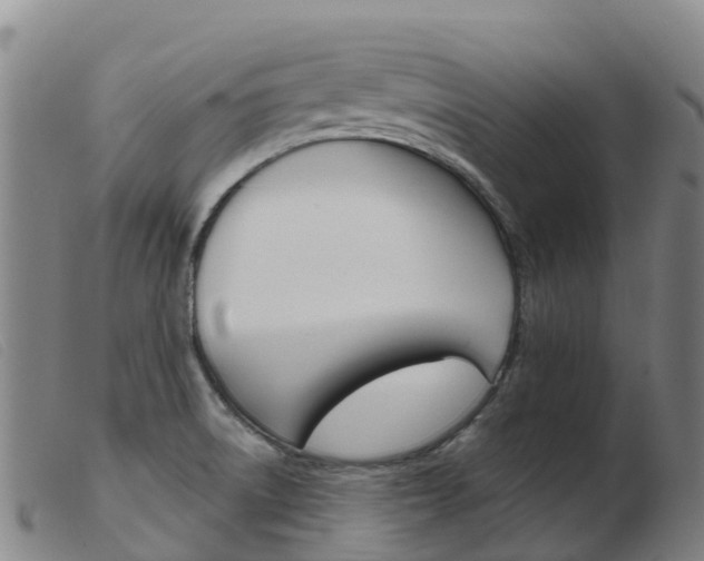 X0000103951522200809191159
