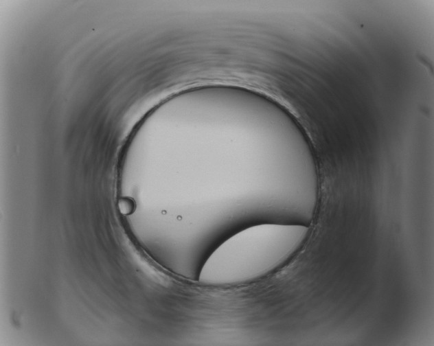 X0000103951523200809191159