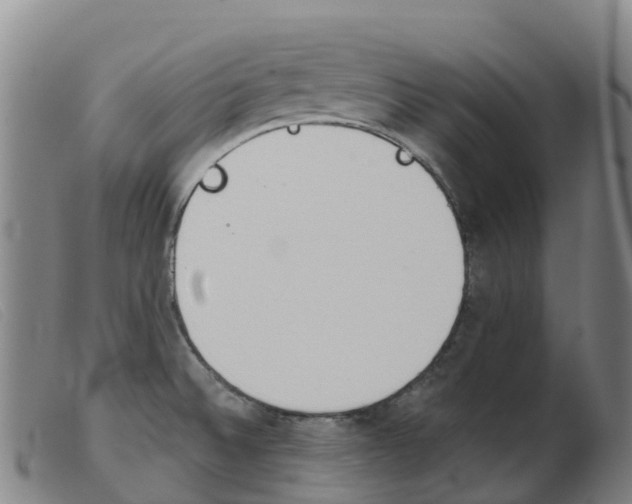 X0000103951524200809191159
