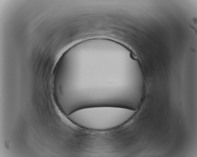 X0000103951526200809191159