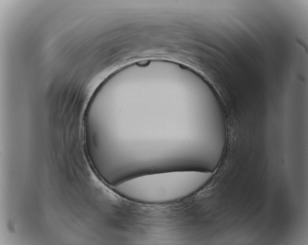 X0000103951527200809191159