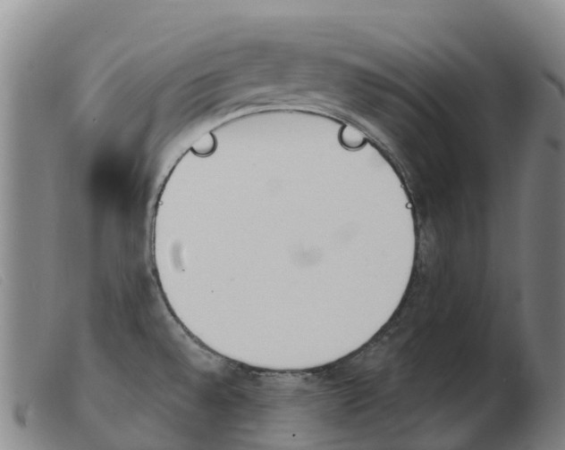 X0000103951528200809191159
