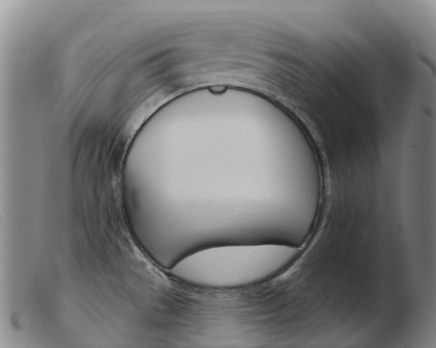 X0000103951529200809191159
