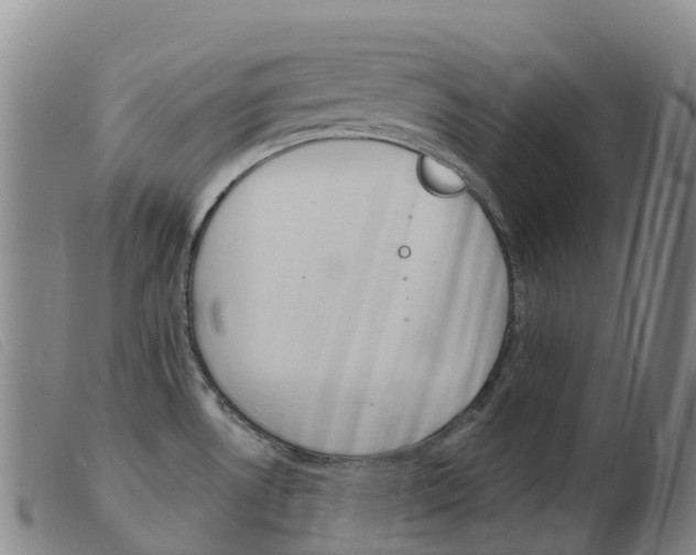 X0000103951530200809191159