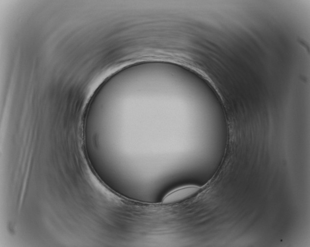 X0000103951531200809191159