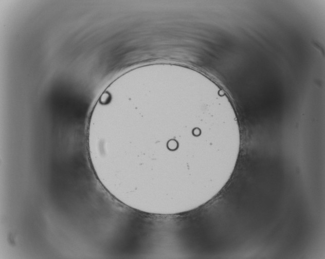 X0000103951532200809191159
