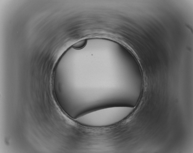 X0000103951533200809191159