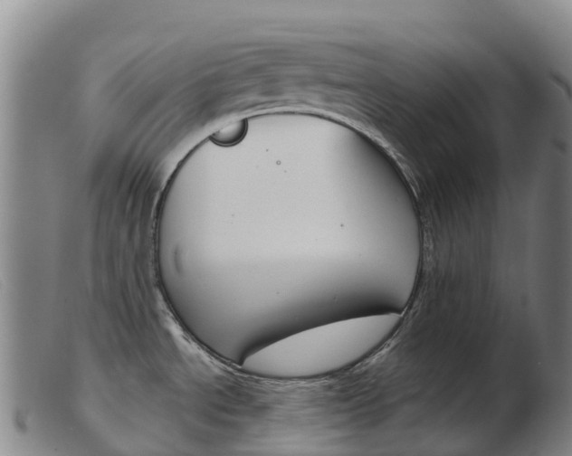 X0000103951534200809191159